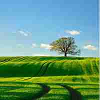 大​g玩﻿具﻿车‌模​型​